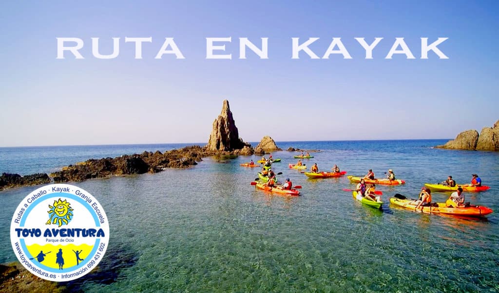 Toyo Aventura
