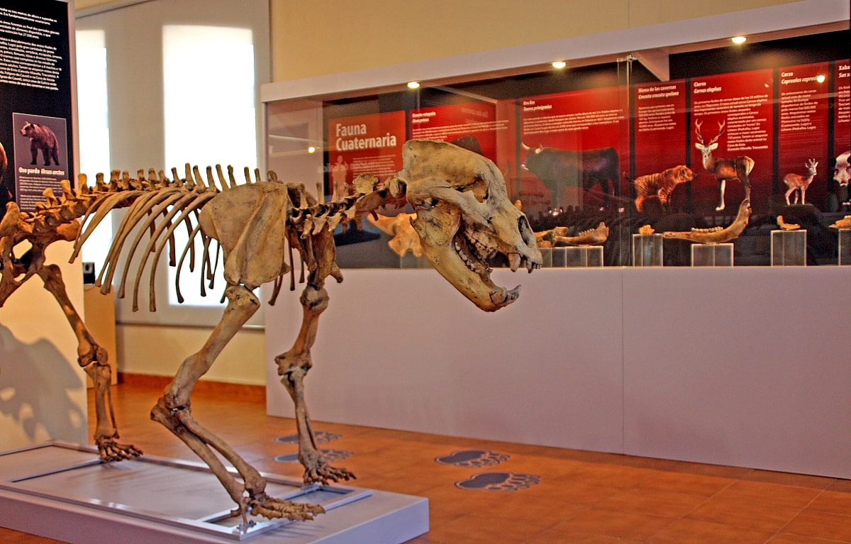 MUSEO GEOLÓGICO DE QUIROGA