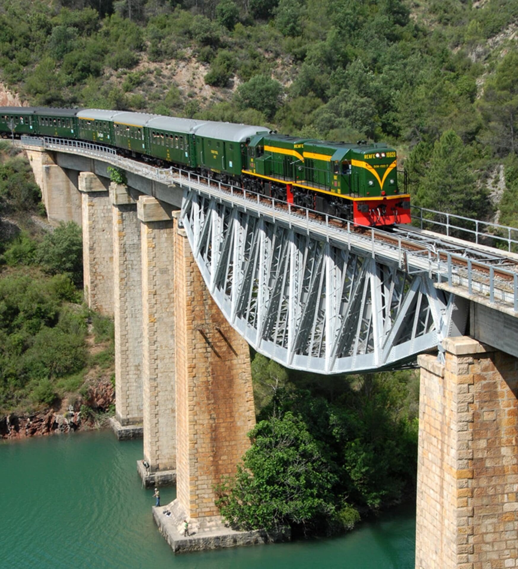 El tren de los lagos