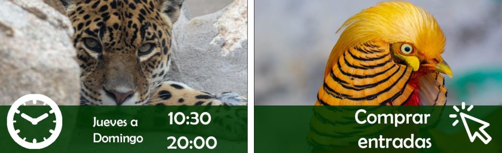 Zoo Koki - Parque zoológico y botánico