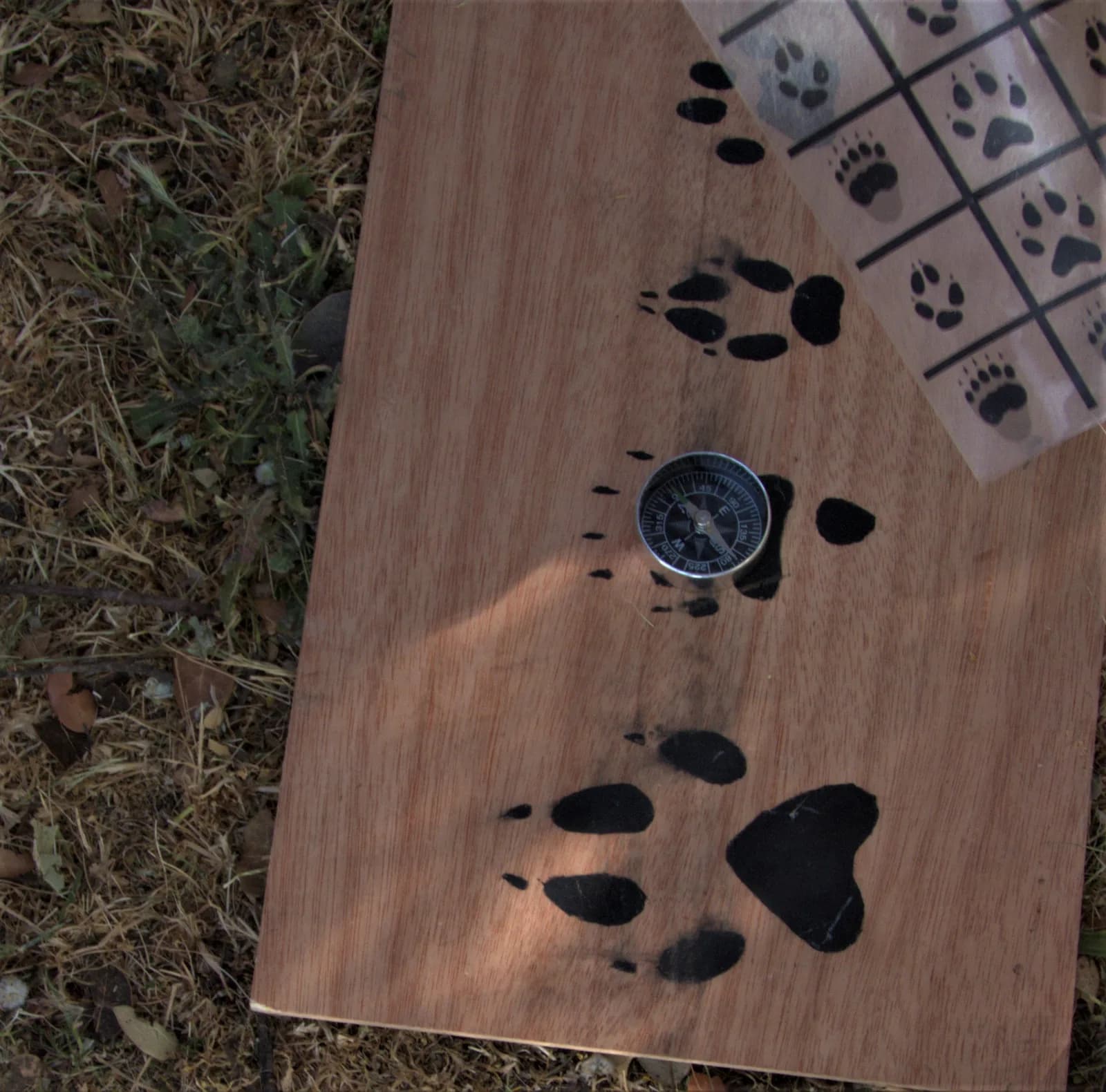 Wildtracani - Escape Room Tras la Huella del Lobo