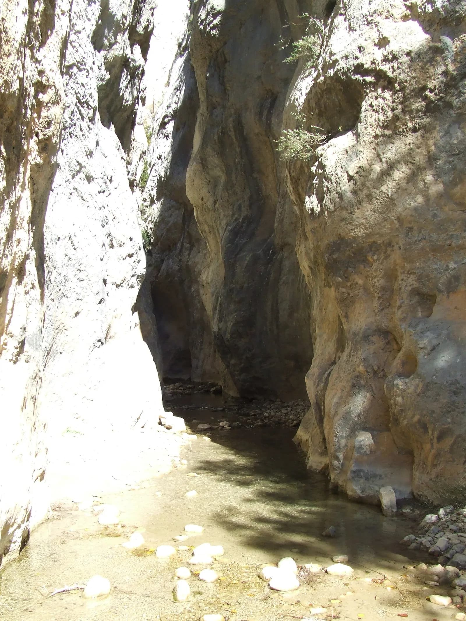 Forat d'Abella