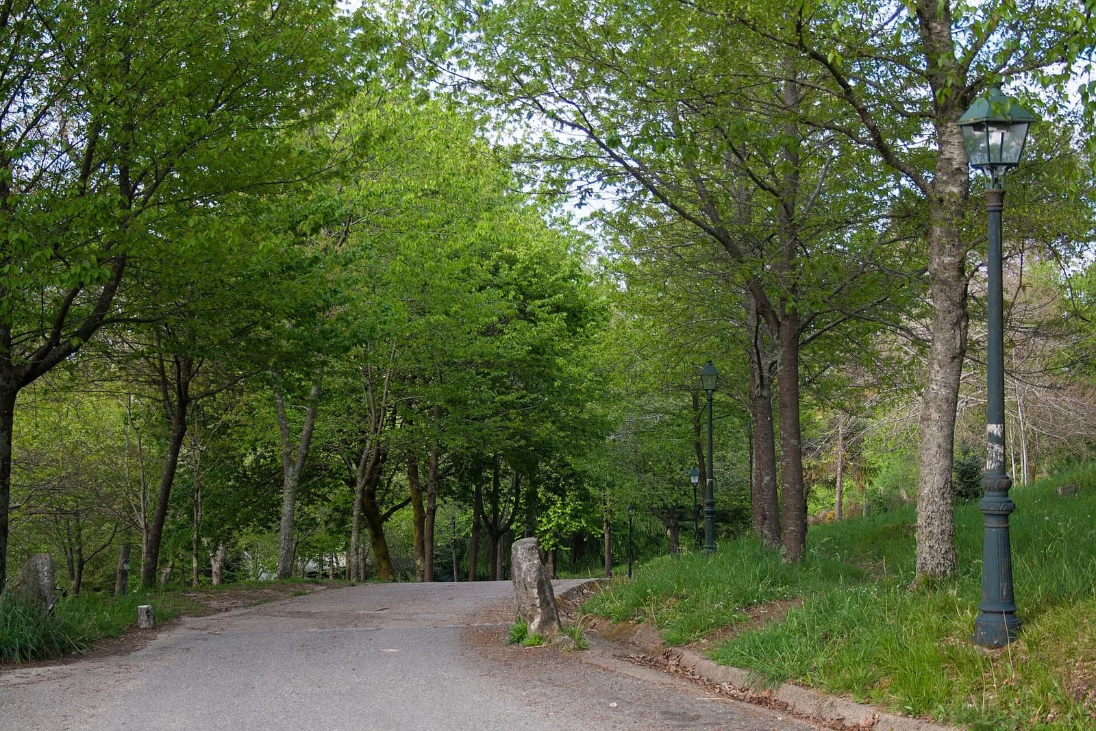 Parque forestal de Beade